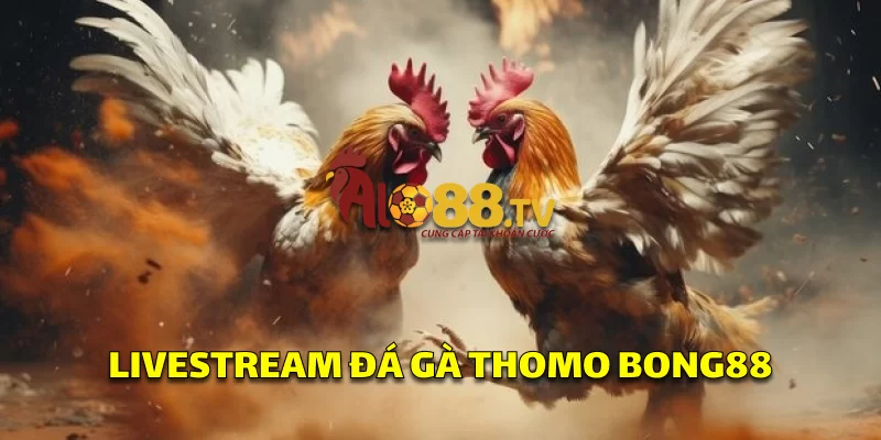 Giao diện đá gà livestream tại Bong88, cho phép đặt cược trực tiếp trên các trận cựa dao