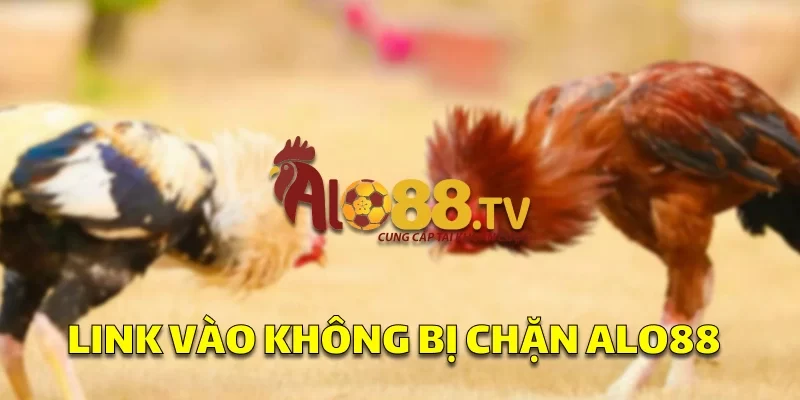 Link vào sv388 không bị chặn ALO88