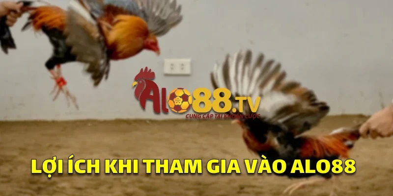 Lợi ích khi tham gia vào ALO88