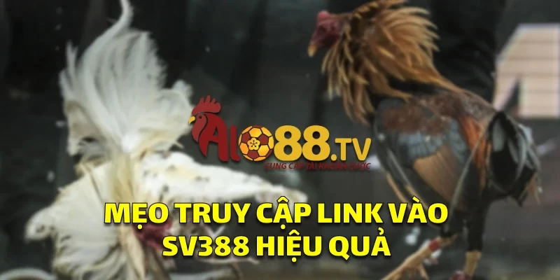 Mẹo truy cập vào link vào SV388 hiệu quả 