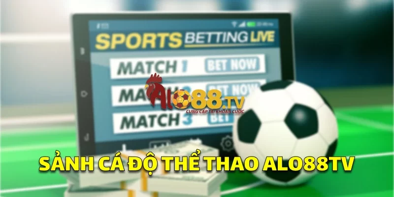 Giao diện cá độ bóng đá tại ALO88TV với kèo đa dạng, người chơi cần kiểm tra kỹ trước khi cược.